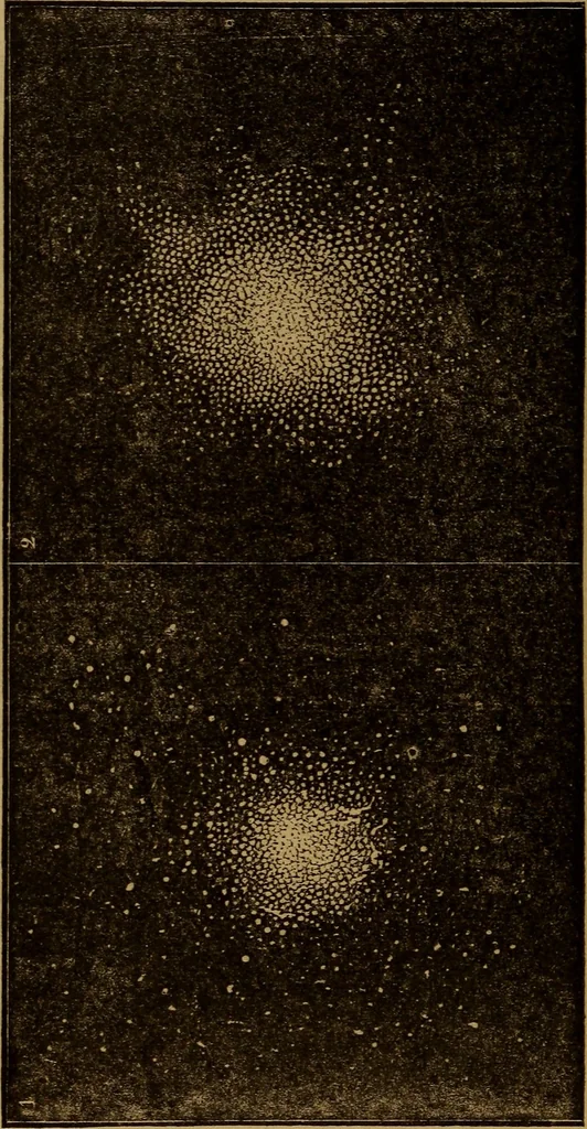 An illustration from The wonders of the heavens, 1871, leaf 35