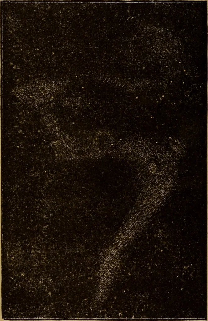 An illustration from The wonders of the heavens, 1871, leaf 43