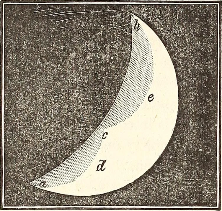 An illustration from The wonders of the heavens, being a popular view of astronomy, including a full illustration of the mechanism of the heavens; embracing the sun, moon, and stars, with descriptions of the planets, comets, fixed stars, double stars, the constellations, the galaxy, or milky-way, the zodiacal light, aurora borealis, or norhtern lights, meteors, clouds, falling stars, aërolites, &c, 1837, leaf 217