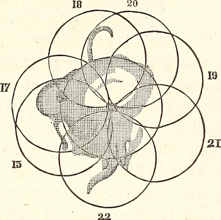 An illustration from The wonders of the heavens, being a popular view of astronomy, including a full illustration of the mechanism of the heavens; embracing the sun, moon, and stars, with descriptions of the planets, comets, fixed stars, double stars, the constellations, the galaxy, or milky-way, the zodiacal light, aurora borealis, or norhtern lights, meteors, clouds, falling stars, aërolites, &c, 1837, leaf 221
