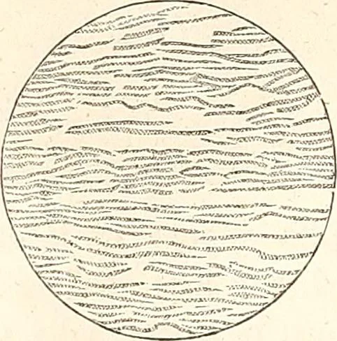 An illustration from The wonders of the heavens, being a popular view of astronomy, including a full illustration of the mechanism of the heavens; embracing the sun, moon, and stars, with descriptions of the planets, comets, fixed stars, double stars, the constellations, the galaxy, or milky-way, the zodiacal light, aurora borealis, or norhtern lights, meteors, clouds, falling stars, aërolites, &c, 1837, leaf 225