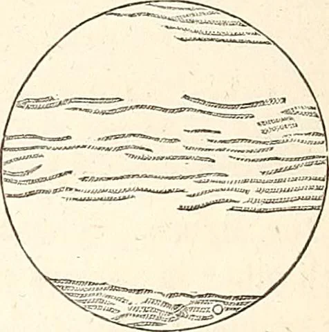 An illustration from The wonders of the heavens, being a popular view of astronomy, including a full illustration of the mechanism of the heavens; embracing the sun, moon, and stars, with descriptions of the planets, comets, fixed stars, double stars, the constellations, the galaxy, or milky-way, the zodiacal light, aurora borealis, or norhtern lights, meteors, clouds, falling stars, aërolites, &c, 1837, leaf 225
