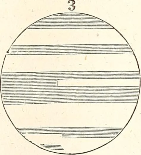 An illustration from The wonders of the heavens, being a popular view of astronomy, including a full illustration of the mechanism of the heavens; embracing the sun, moon, and stars, with descriptions of the planets, comets, fixed stars, double stars, the constellations, the galaxy, or milky-way, the zodiacal light, aurora borealis, or norhtern lights, meteors, clouds, falling stars, aërolites, &c, 1837, leaf 225