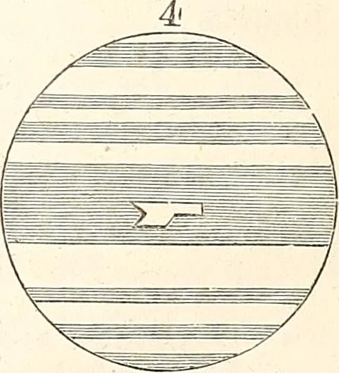 An illustration from The wonders of the heavens, being a popular view of astronomy, including a full illustration of the mechanism of the heavens; embracing the sun, moon, and stars, with descriptions of the planets, comets, fixed stars, double stars, the constellations, the galaxy, or milky-way, the zodiacal light, aurora borealis, or norhtern lights, meteors, clouds, falling stars, aërolites, &c, 1837, leaf 225