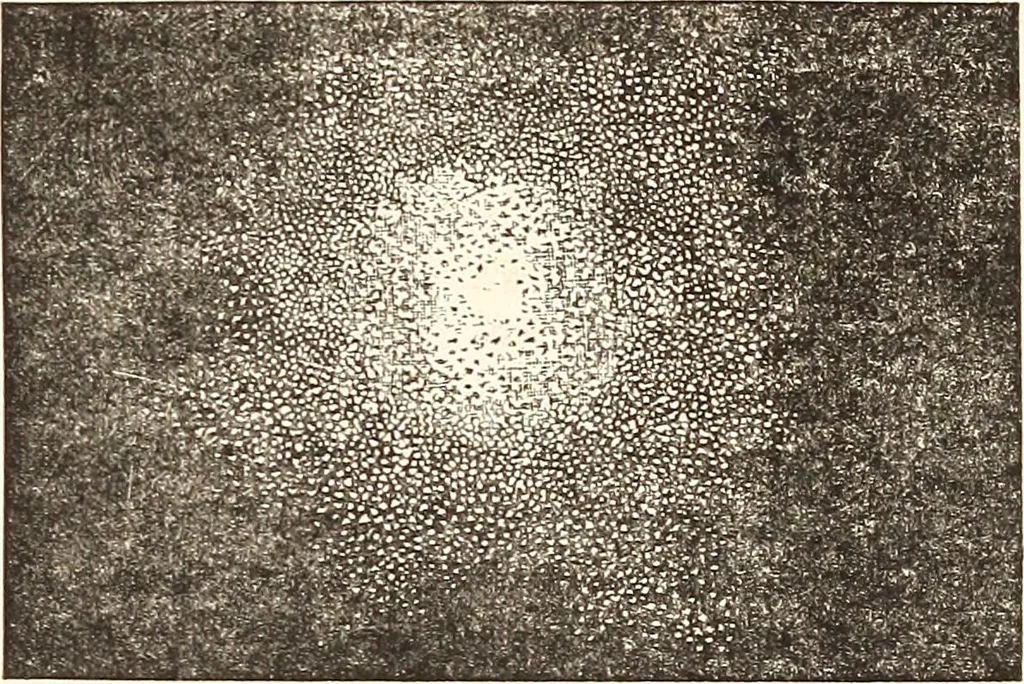 An illustration from The wonders of the heavens, being a popular view of astronomy, including a full illustration of the mechanism of the heavens; embracing the sun, moon, and stars, with descriptions of the planets, comets, fixed stars, double stars, the constellations, the galaxy, or milky-way, the zodiacal light, aurora borealis, or norhtern lights, meteors, clouds, falling stars, aërolites, &c, 1837, leaf 38