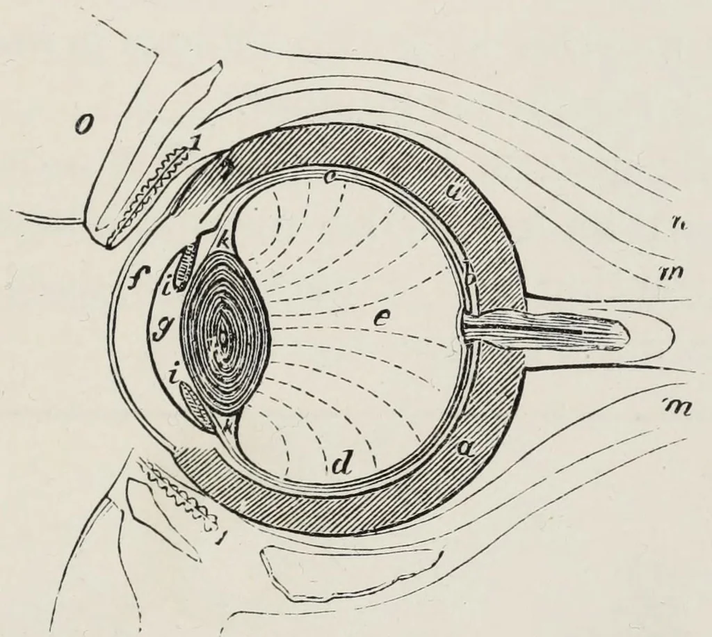 An illustration from Wonders of light and of colour, 1890, leaf 23