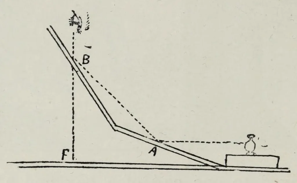 An illustration from Wonders of light and of colour, 1890, leaf 74