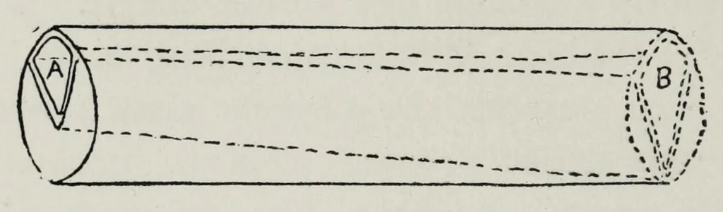 An illustration from Wonders of light and of colour, 1890, leaf 82