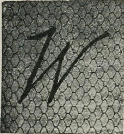 An illustration from The wonders of modern mechanism. A résumé of recent progress in mechanical, physical, and engineering science, 1896, leaf 342