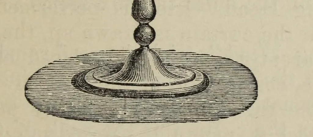 An illustration from The wonders of optics, 1869, leaf 215