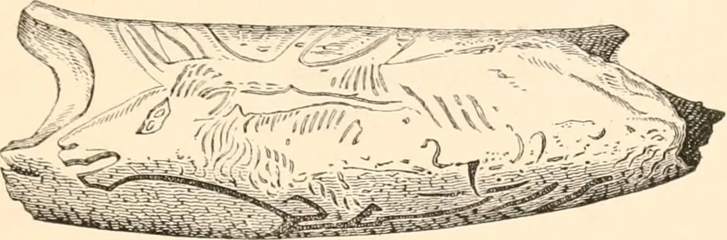 An illustration from Wonders of sculpture, 1873, leaf 18