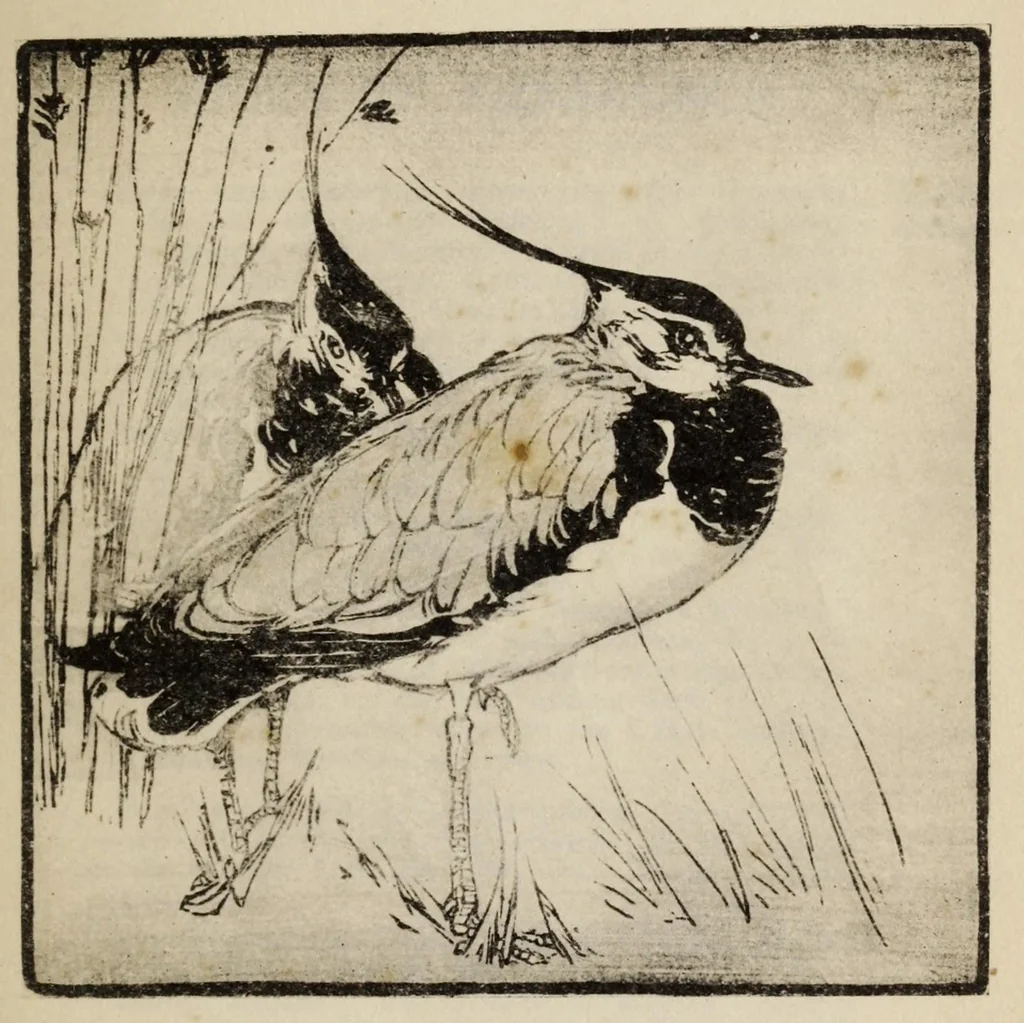 An illustration from Wood-block printing : a description of the craft of woodcutting & colourprinting based on the Japanese practice, 1916, leaf 177