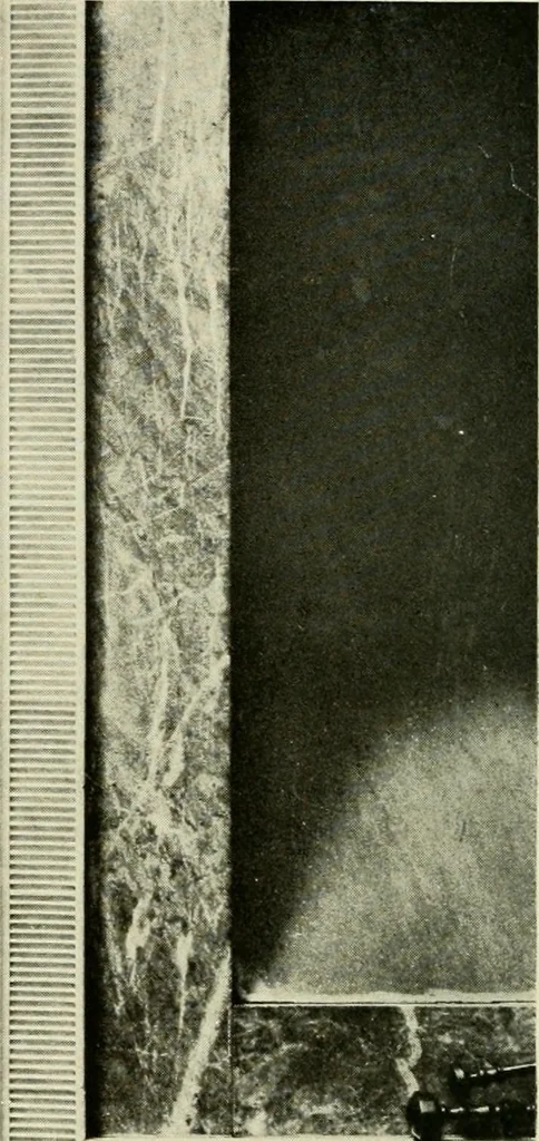 An illustration from The wood-carver of Salem; Samuel McIntire, his life and work, 1916, leaf 263