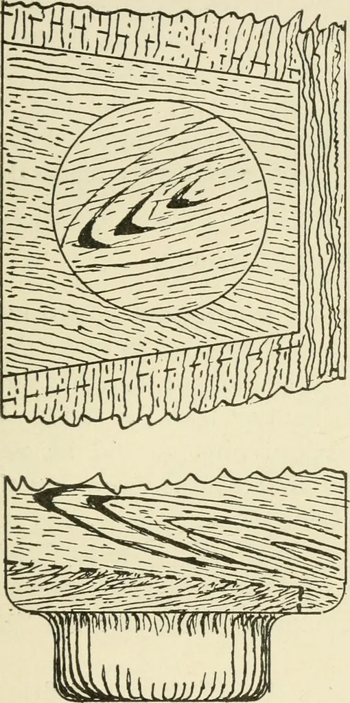 An illustration from Wood pattern-making; the fundamental principles and elementary practice of the art, 1906, leaf 158