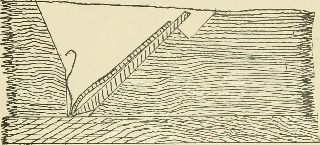 An illustration from Wood pattern-making; the fundamental principles and elementary practice of the art, 1906, leaf 206