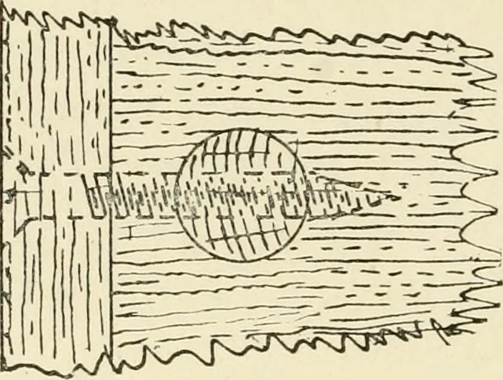 An illustration from Wood pattern-making; the fundamental principles and elementary practice of the art, 1906, leaf 43