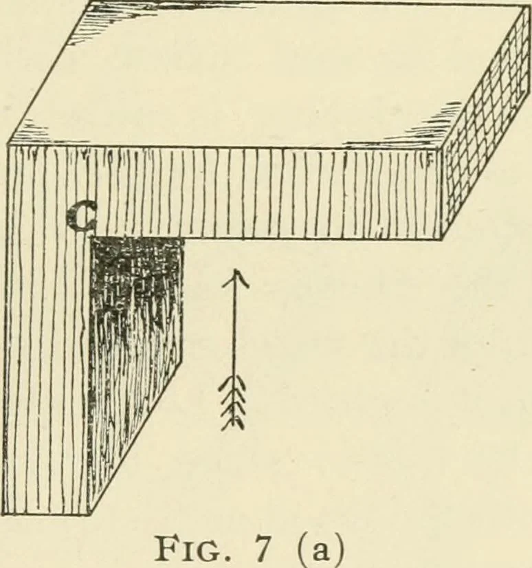 An illustration from Wood pattern-making; the fundamental principles and elementary practice of the art, 1906, leaf 46