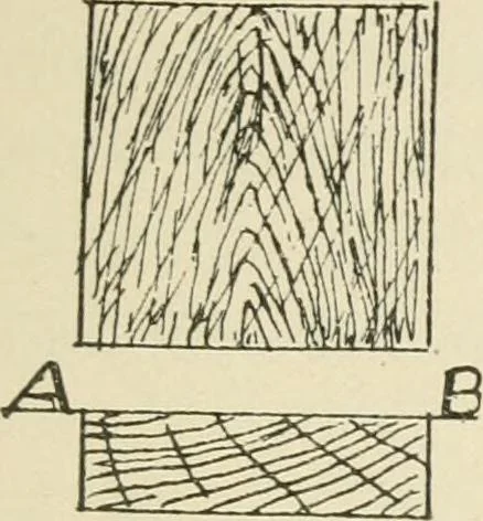 An illustration from Wood pattern-making; the fundamental principles and elementary practice of the art, 1906, leaf 62