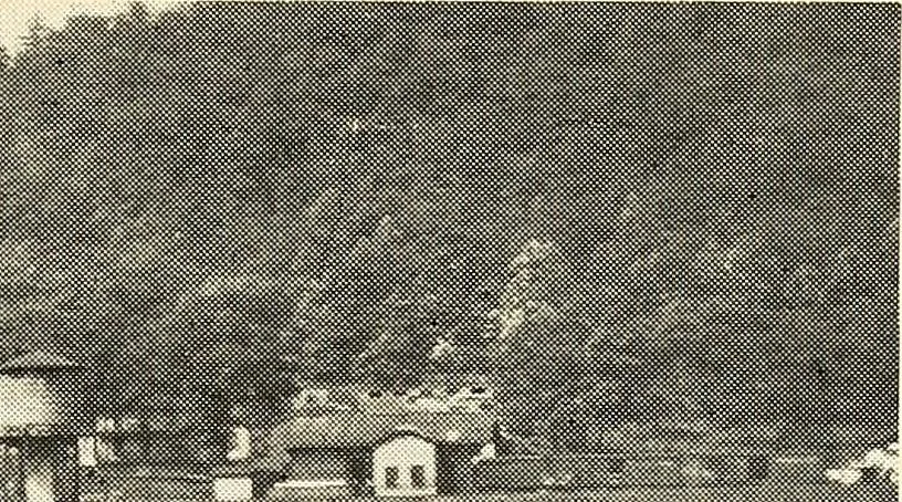 An illustration from Wood-using industries of Pennsylvania, 1914, leaf 102