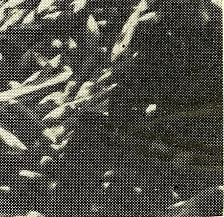 An illustration from Wood-using industries of Pennsylvania, 1914, leaf 103