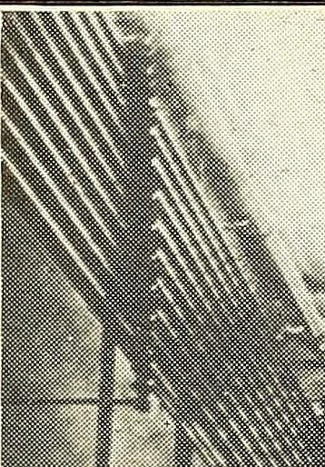An illustration from Wood-using industries of Pennsylvania, 1914, leaf 135