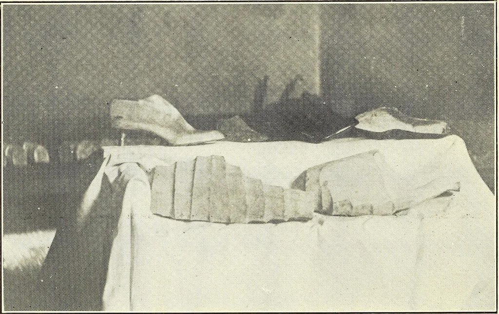 An illustration from Wood-using industries of Pennsylvania, 1914, leaf 169