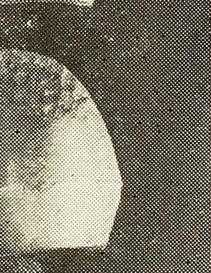 An illustration from Wood-using industries of Pennsylvania, 1914, leaf 178