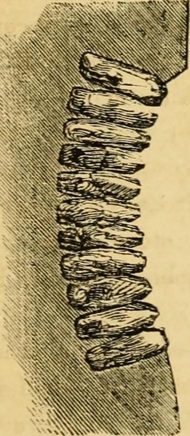 An illustration from Woodward's architecture and rural art : landscape gardening, and rural art, 1867, leaf 38