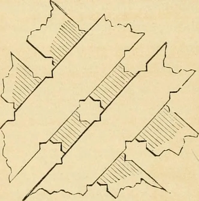 An illustration from Woodward's architecture, landscape gardening, and rural art. no. I.--1867 [-no. II.--1868], 1872, leaf 123