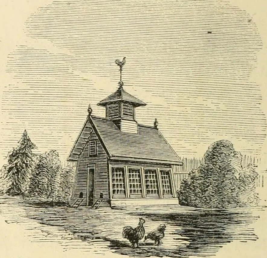 An illustration from Woodward's architecture, landscape gardening, and rural art. no. I.--1867 [-no. II.--1868], 1872, leaf 97