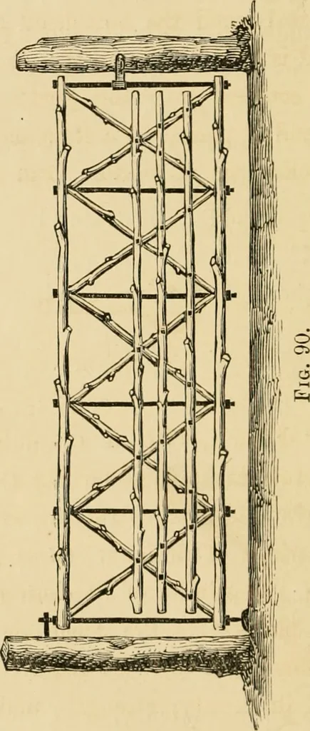 An illustration from Woodward's country homes, 1865, leaf 133