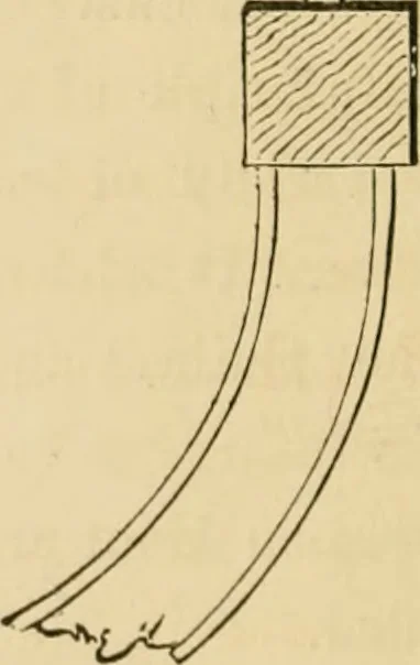 An illustration from Woodward's country homes, 1865, leaf 135