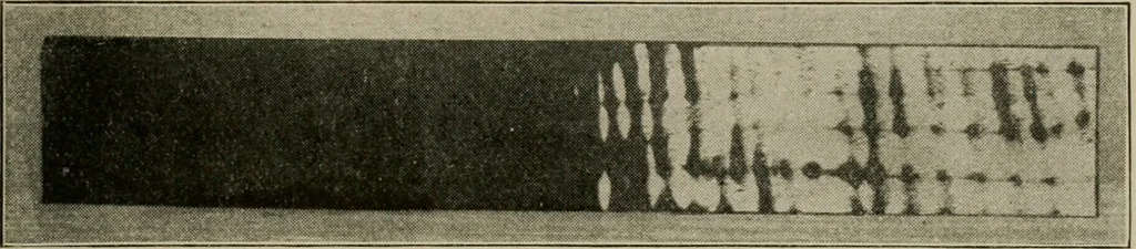 An illustration from Woodwork for the grades for use in manual training classes, 1912, leaf 118