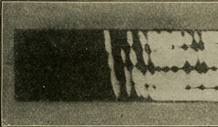 An illustration from Woodwork for the grades for use in manual training classes, 1912, leaf 118