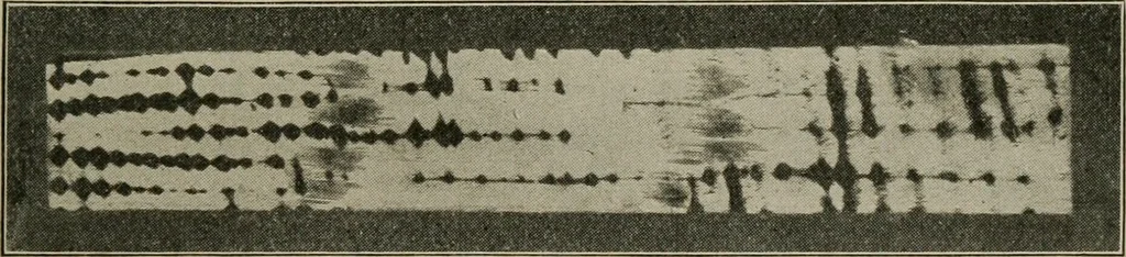 An illustration from Woodwork for the grades for use in manual training classes, 1912, leaf 118