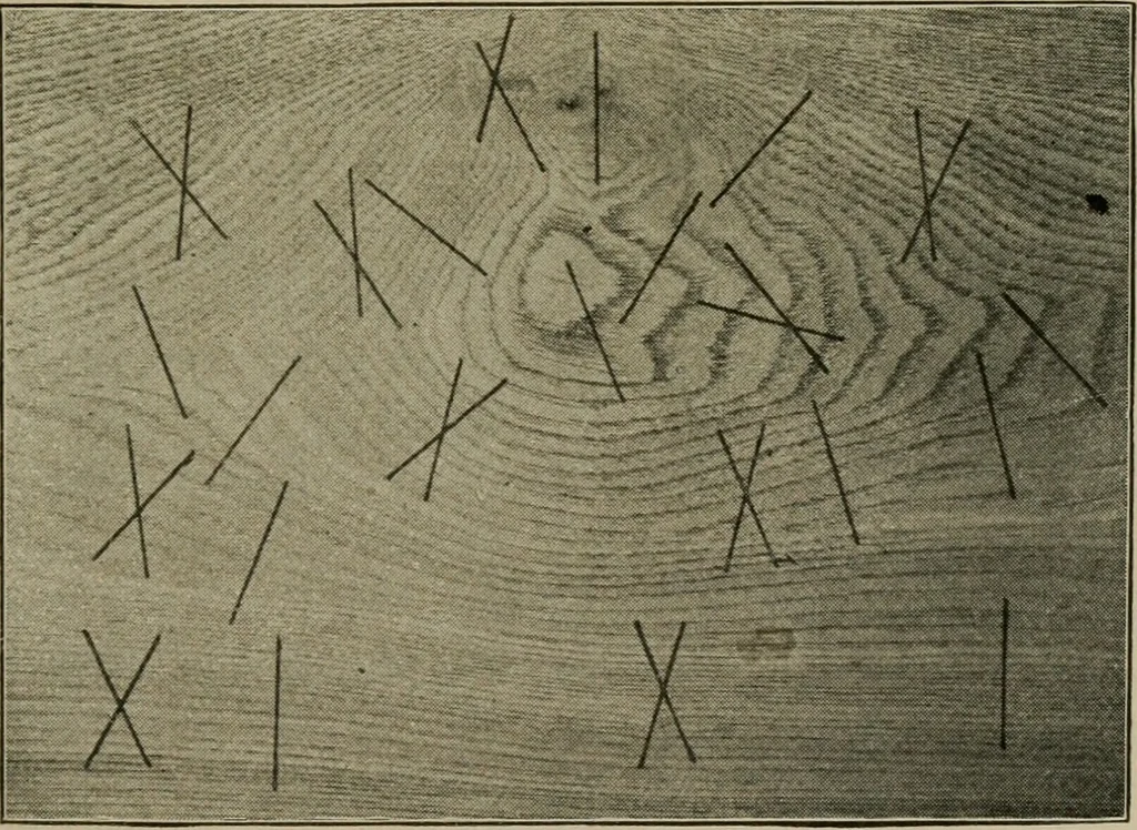 An illustration from Woodwork for the grades for use in manual training classes, 1912, leaf 132