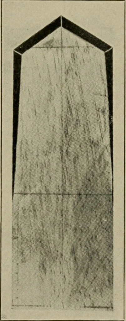 An illustration from Woodwork for the grades for use in manual training classes, 1912, leaf 194