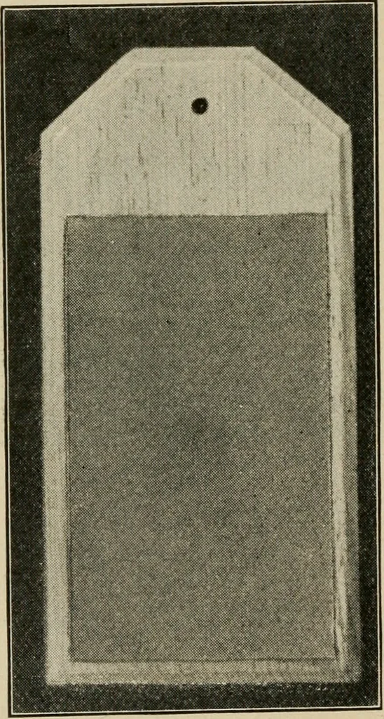 An illustration from Woodwork for the grades for use in manual training classes, 1912, leaf 201