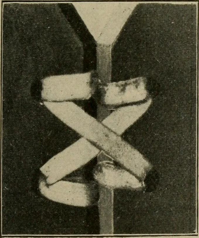 An illustration from Woodwork for the grades for use in manual training classes, 1912, leaf 208