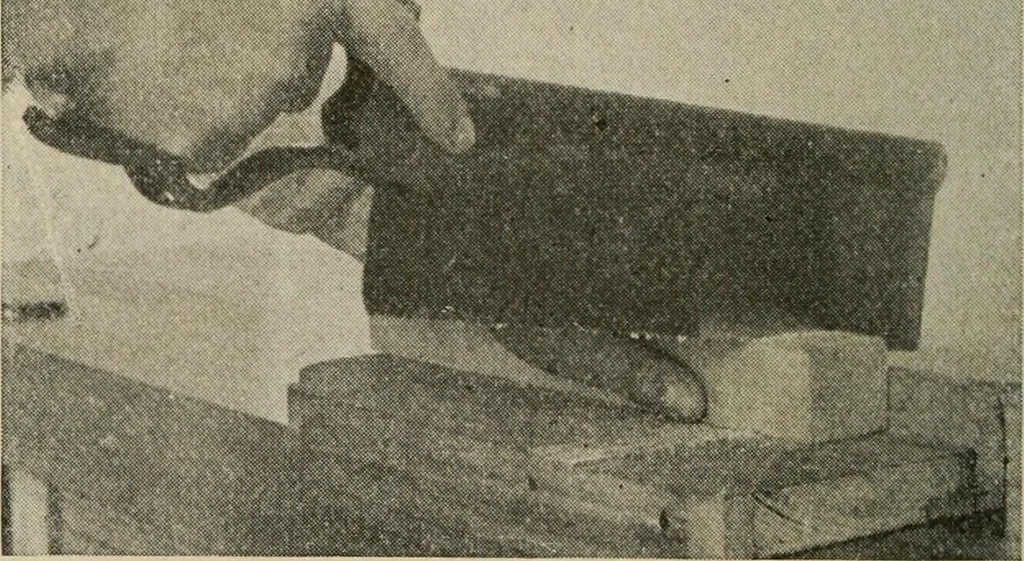 An illustration from Woodwork for the grades for use in manual training classes, 1912, leaf 65