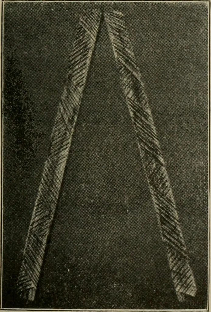 An illustration from Woodwork for the grades for use in manual training classes, 1912, leaf 84