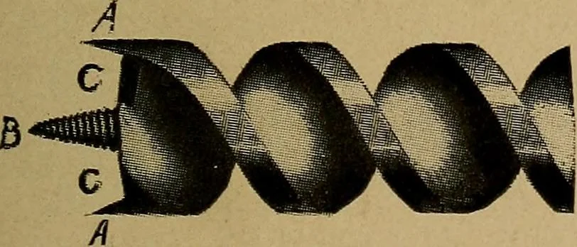 An illustration from Woodwork for the grades, for use in manual training classes; fully illustrated with three hundred half-tone engravings from actual shop practice, and many working drawings of educational shop problems, 1913, leaf 110