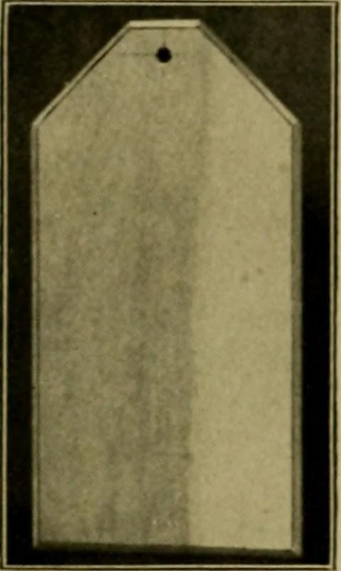 An illustration from Woodwork for the grades, for use in manual training classes; fully illustrated with three hundred half-tone engravings from actual shop practice, and many working drawings of educational shop problems, 1913, leaf 113