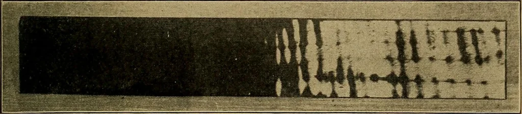 An illustration from Woodwork for the grades, for use in manual training classes; fully illustrated with three hundred half-tone engravings from actual shop practice, and many working drawings of educational shop problems, 1913, leaf 118