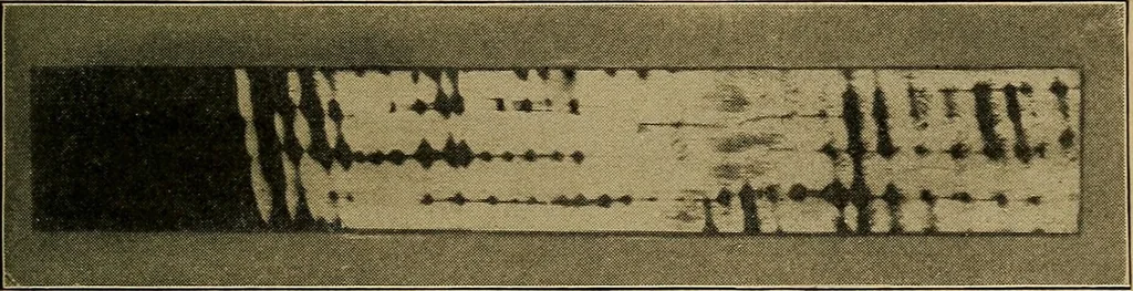 An illustration from Woodwork for the grades, for use in manual training classes; fully illustrated with three hundred half-tone engravings from actual shop practice, and many working drawings of educational shop problems, 1913, leaf 118