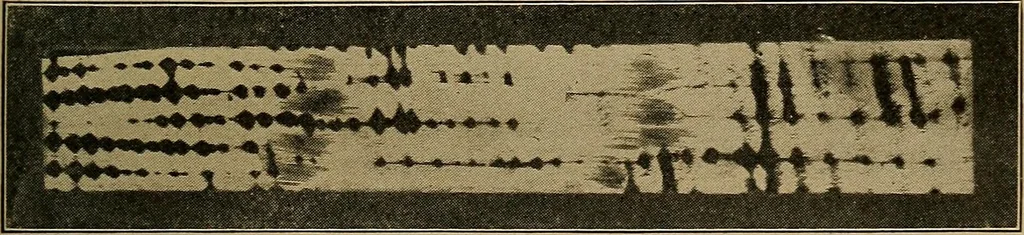 An illustration from Woodwork for the grades, for use in manual training classes; fully illustrated with three hundred half-tone engravings from actual shop practice, and many working drawings of educational shop problems, 1913, leaf 118