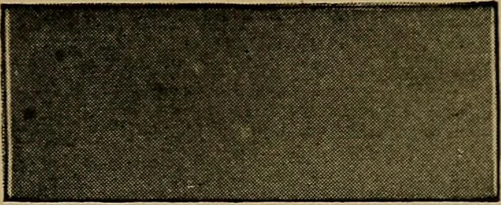 An illustration from Woodwork for the grades, for use in manual training classes; fully illustrated with three hundred half-tone engravings from actual shop practice, and many working drawings of educational shop problems, 1913, leaf 130