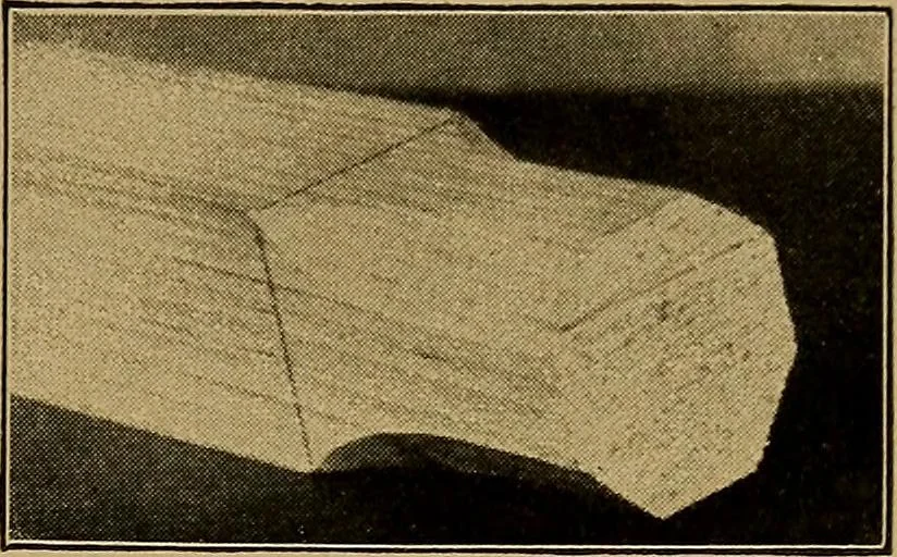 An illustration from Woodwork for the grades, for use in manual training classes; fully illustrated with three hundred half-tone engravings from actual shop practice, and many working drawings of educational shop problems, 1913, leaf 156