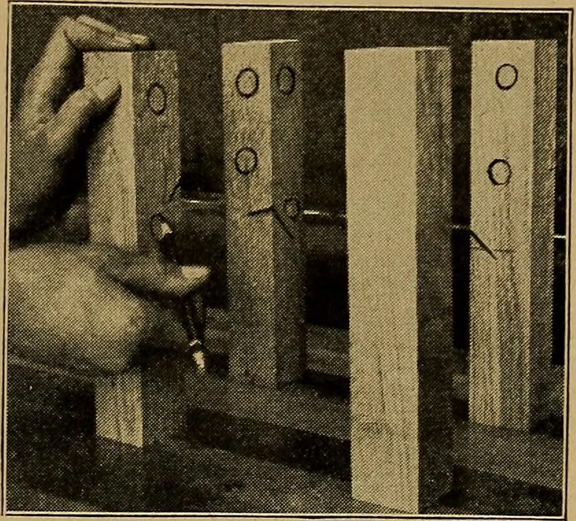 An illustration from Woodwork for the grades, for use in manual training classes; fully illustrated with three hundred half-tone engravings from actual shop practice, and many working drawings of educational shop problems, 1913, leaf 160