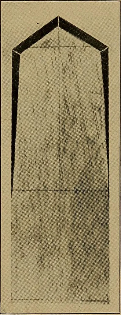 An illustration from Woodwork for the grades, for use in manual training classes; fully illustrated with three hundred half-tone engravings from actual shop practice, and many working drawings of educational shop problems, 1913, leaf 194